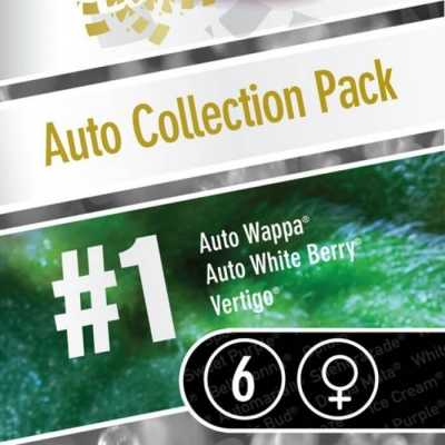 Auto-Collection-Pack-1-6434