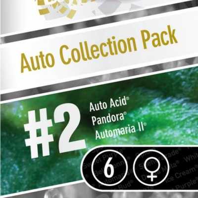Auto-Collection-Pack-2-6446