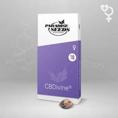 CBDivine-14494