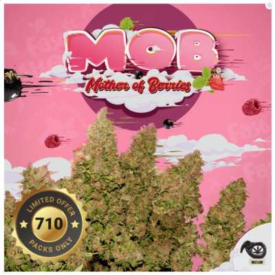 MOB-710-Special-Pack-17034