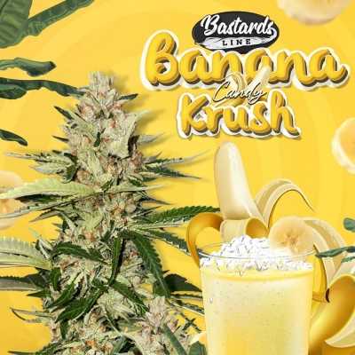 Banana-Candy-Krush-17038