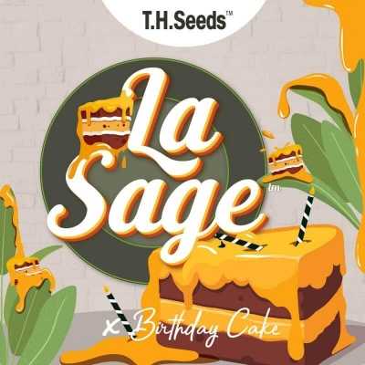 La-SAGE-x-Birthday-Cake-x-SBC-Reg-14538