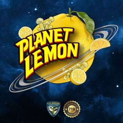 Planet-Lemon-710-Special-Pack-17179