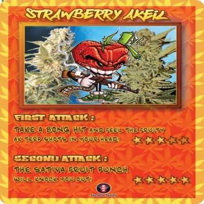Strawberry-Akeil-10637