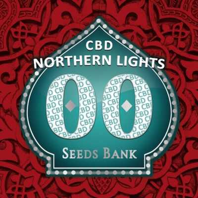 Northern-Lights-CBD-15419