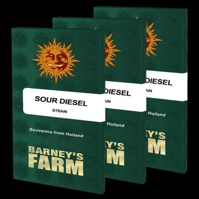 Sour-Diesel-Barneys-Farm-18420