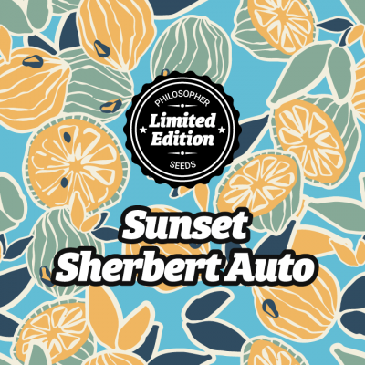 Sunset Sherbert Auto