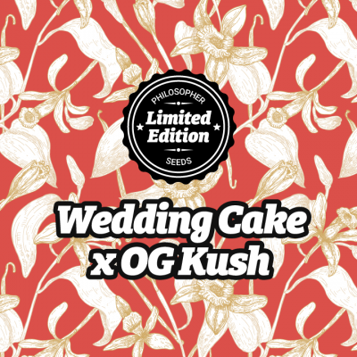 Wedding Cake x OG Kush