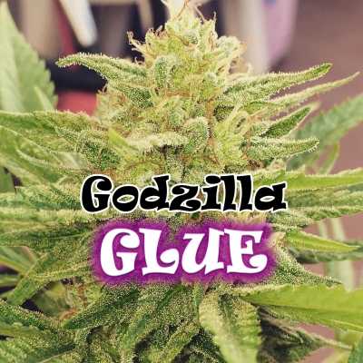 Godzilla-Glue-13471
