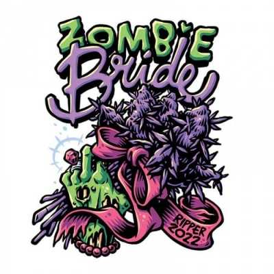 Zombie-Bride-16134