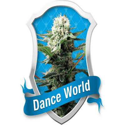 Dance-World-3861
