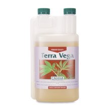 Terra Vega