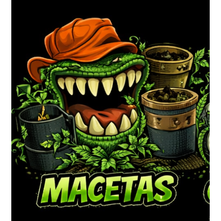 Macetas