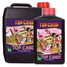 Top Candy Top Crop