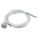 Cable clavija inyectada IEC macho 2 m