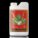 Bud Ignitor