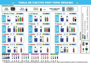 Fast-Food-Organico-BAC-GG1B31075
