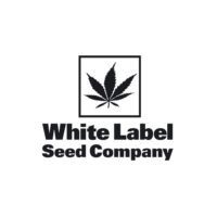 White Skunk Automatic