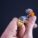 KIT ANILLO PION + 25 FILTROS