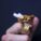 KIT ANILLO AURO + 25 FILTROS