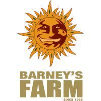Tropicanna Banana fem. Barney's Farm