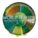 Brazil Amazonia World of Seeds
