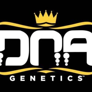 Zallah Bread - DNA Genetics