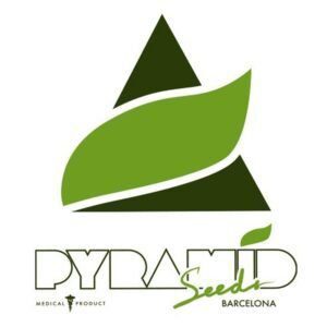 Tutankhamon - Pyramid Seeds