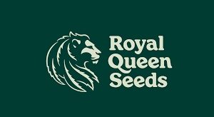 Auto Mimosa - Royal Queen
