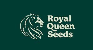 Auto White Widow - Royal Queen
