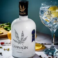 Ginebra Cannagin premium 70cl