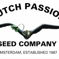 Dutch Passion