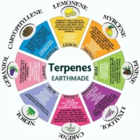 Terpenos