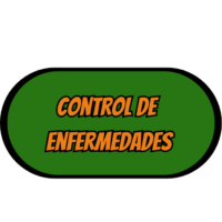 Control de enfermedades