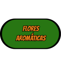 Flores Aromáticas