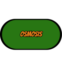 Osmosis