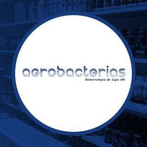 Agrobacterias