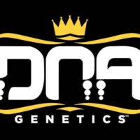 Dna Genetics