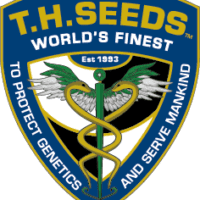 TH Seeds