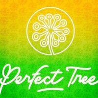 Perfect tree Seeds