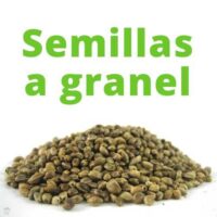 Granel seeds