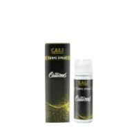 Terps-Spray-Critical-18312