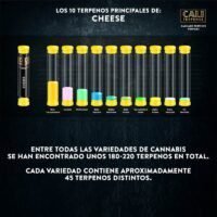Cali Terpenes Cheese