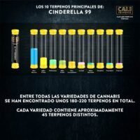 Cali Terpenes Cinderella 99