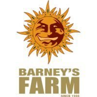 Tropicanna Banana fem. Barney's Farm