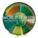 Brazil Amazonia World of Seeds