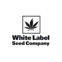 White Skunk Automatic