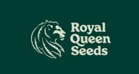 Critical Kush - Royal Queen