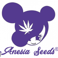 Imperium X - Anesia Seeds