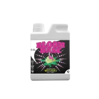 Bloom Base